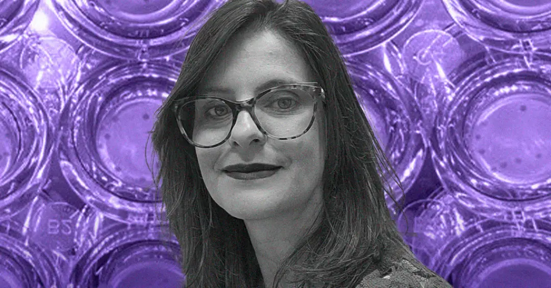 mini órgãos ana carolina