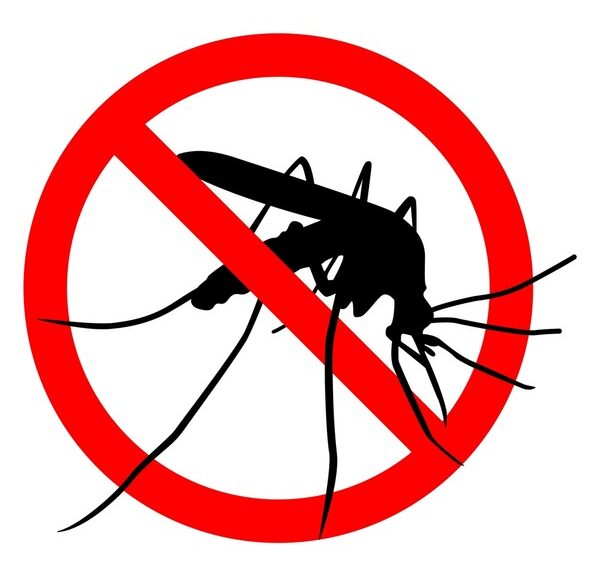 anti mosquito