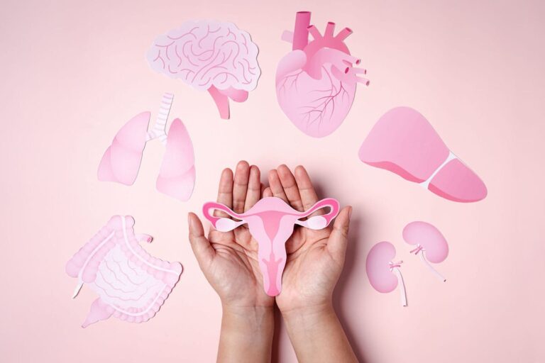 Perimenopausa: A Chave para a Saúde Cardiovascular Feminina? Descubra! perimenopausa