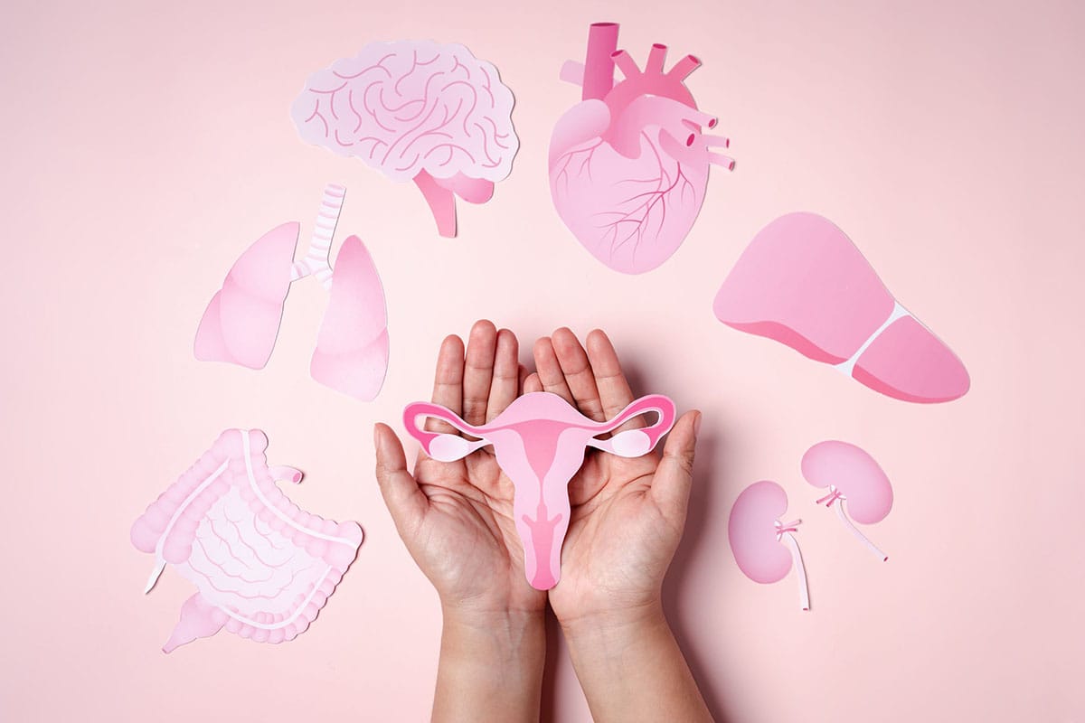 perimenopausa