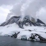 pyroantarcticum pellizari