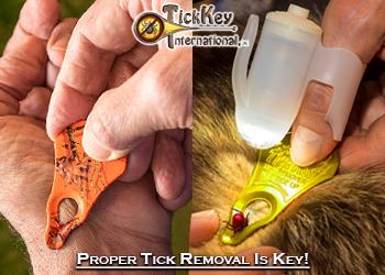 tick twister